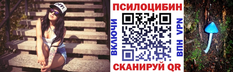 Купить где  Красный Кут  Галлюциногенные грибы MAGIC MUSHROOMS 